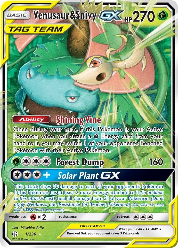 Image for Venusaur & Snivy GX - Pokemon