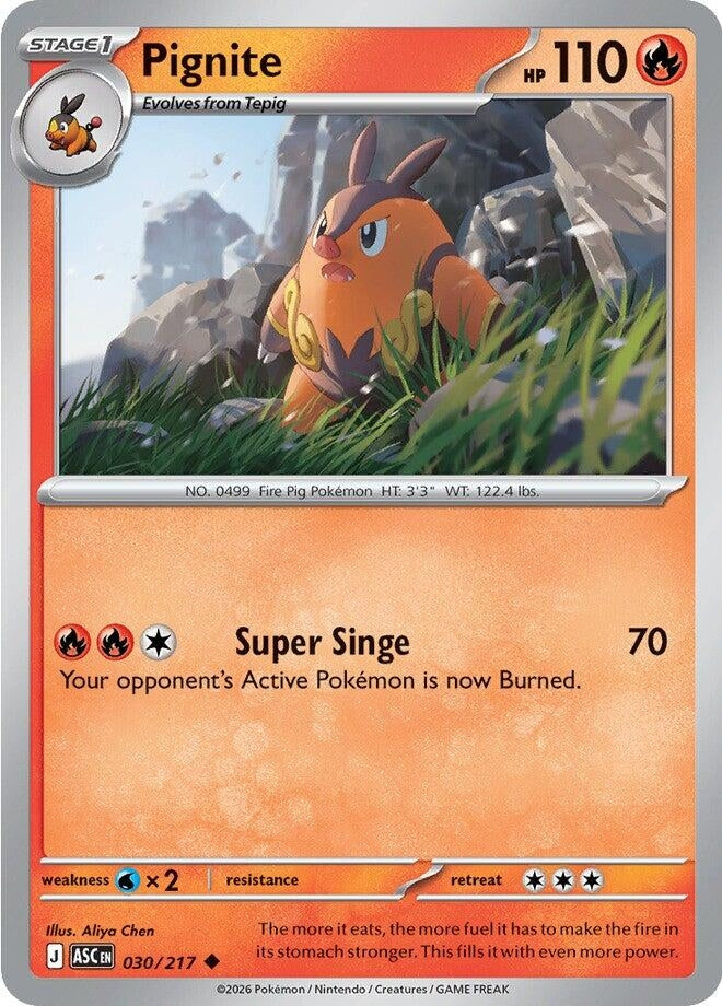 Image for Pignite - Pokemon