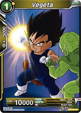 Image for Vegeta - Dragon Ball Super: Masters