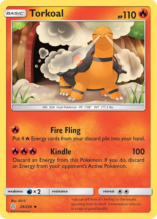 Image for Torkoal - Pokemon