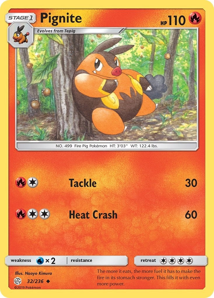 Image for Pignite - Pokemon