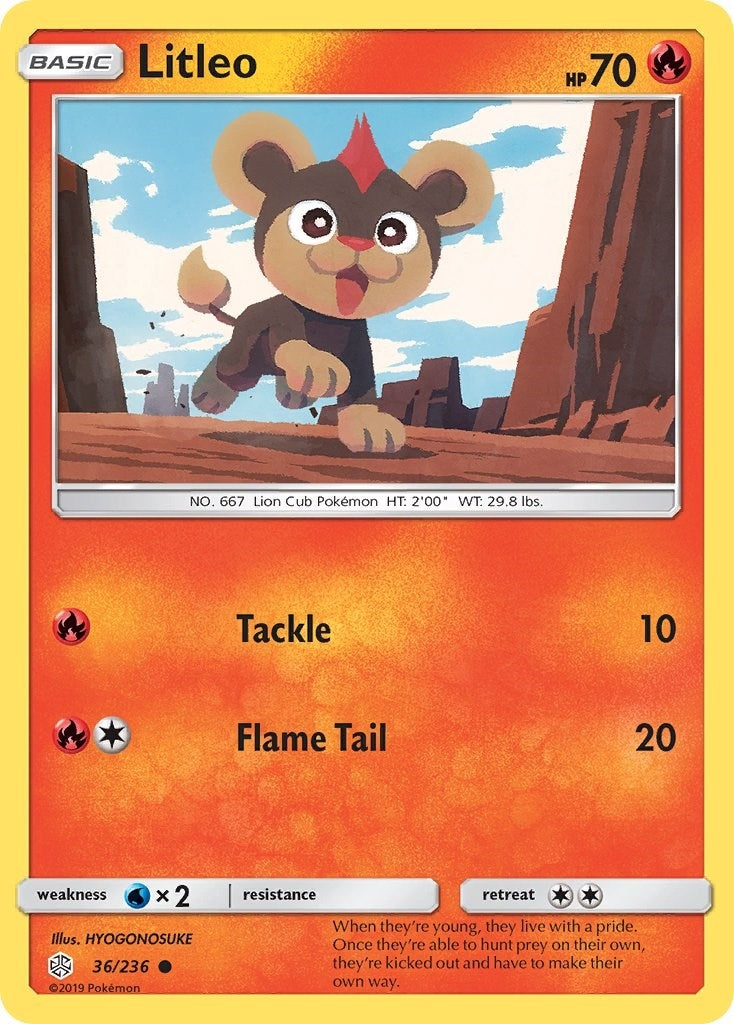 Image for Litleo - Pokemon