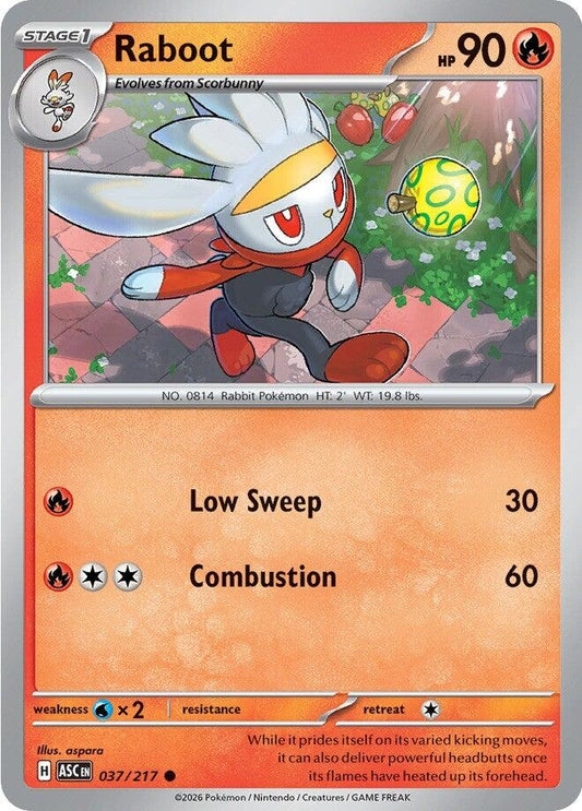 Image for Raboot - Pokemon