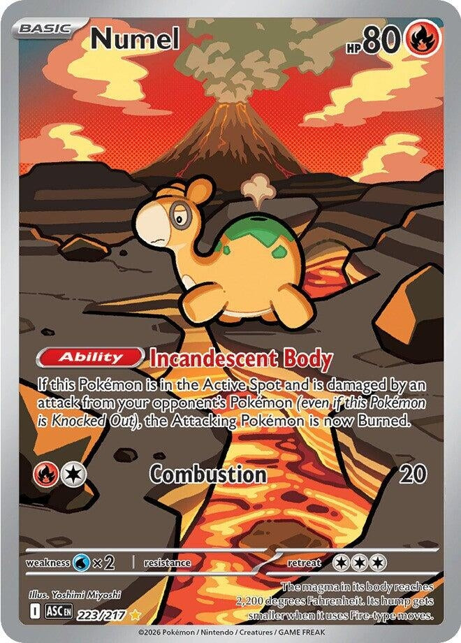 Image for Numel - Pokemon