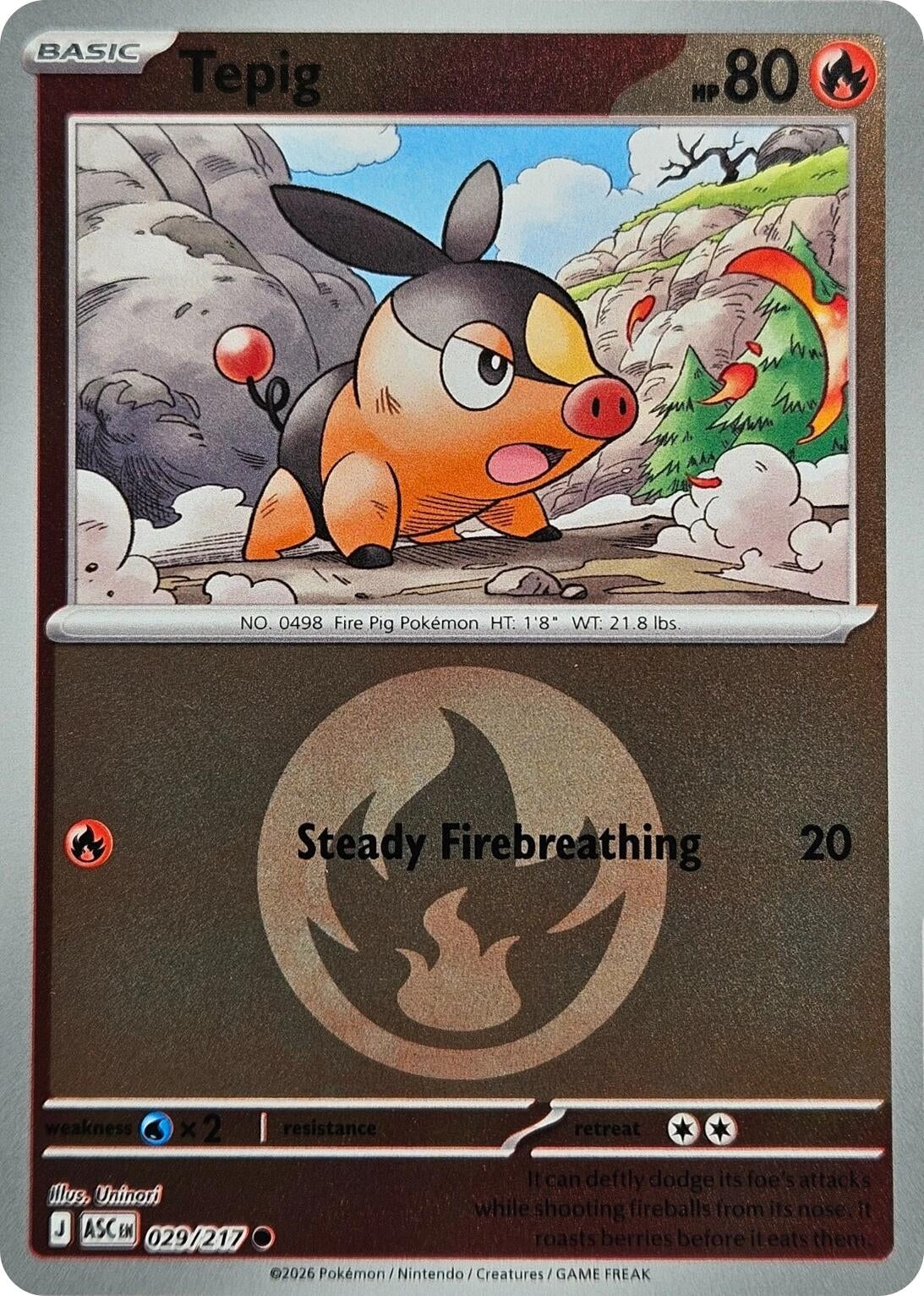 Image for Tepig (Energy Symbol Pattern) - Pokemon