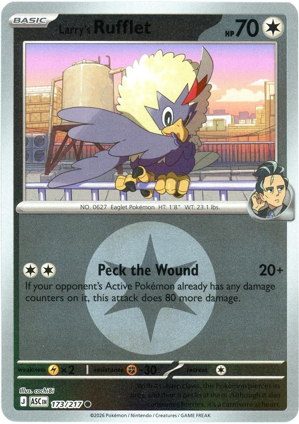 Image for Larry's Rufflet (Energy Symbol Pattern) - Pokemon